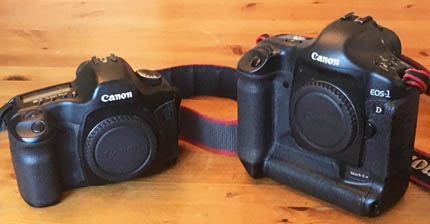 Canon EOS 1D vs 5D size comparison